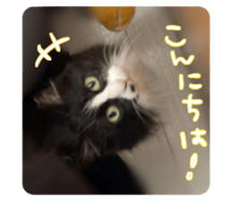 474797512