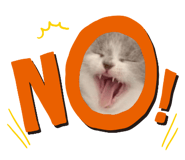 474917242