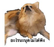474918583