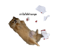 474918589