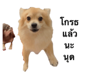 474918591