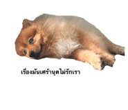 474918598