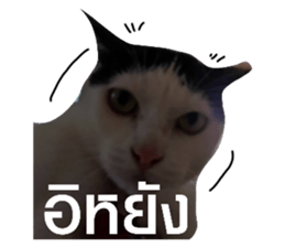 474935137