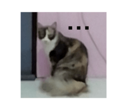 474935156