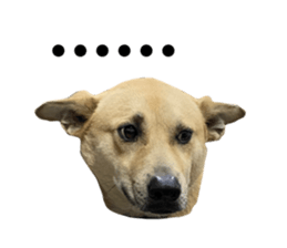 474972795