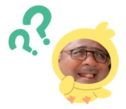 475008729