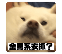 475059672