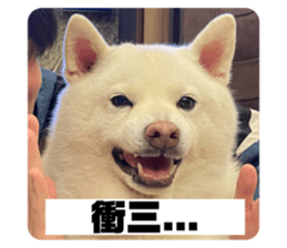 475059677