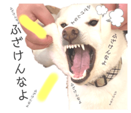 475169632