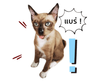 475230791