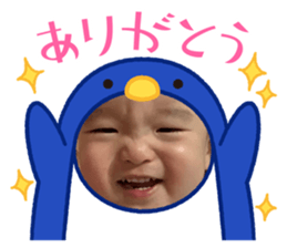 475250352