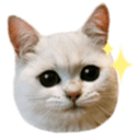475262640