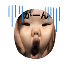 475305301