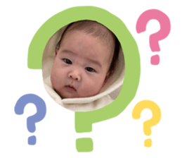 475359677