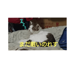475382652