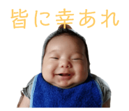 475387250