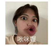 475398677