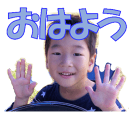 475399881
