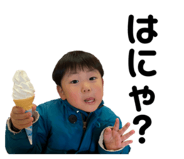 475406223