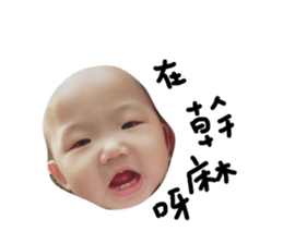 47542350