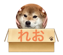 475433143