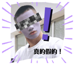 475504089
