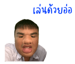 475505446