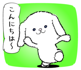 475530255