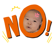 475532521