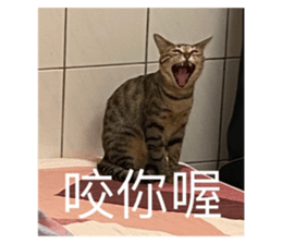 475547480