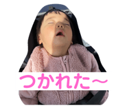 475557975
