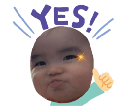475578618