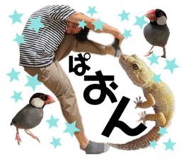 475581924