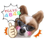 475583198