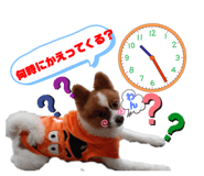 475583206