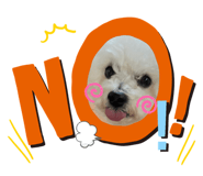 475583219