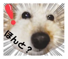 475644191