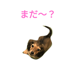 475659501