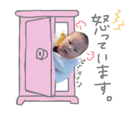 475666797