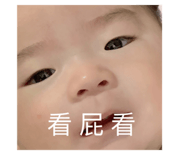 475667510