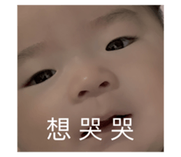 475667513
