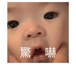 475667514