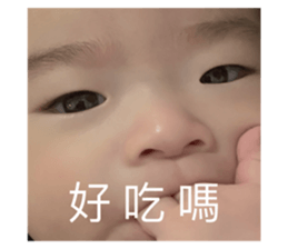 475667516