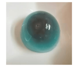 475683235