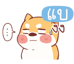 475695804