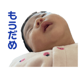475703437