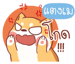 475712535