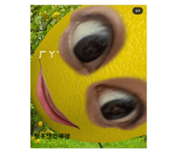 475791493