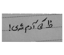 475795423