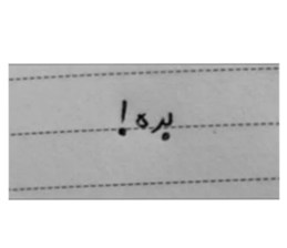 475795429